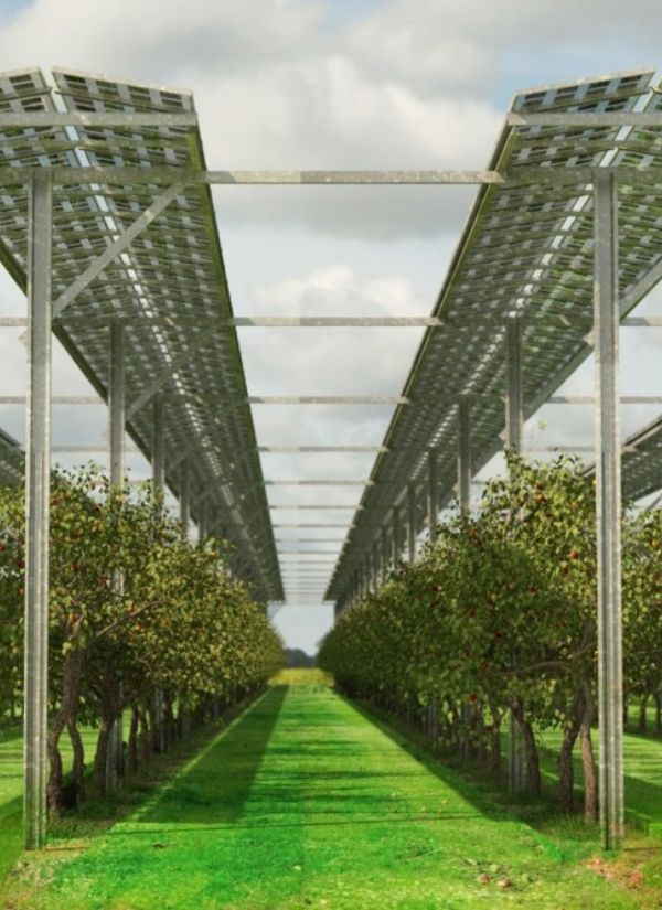 agrivoltaisme-2 agrivoltaisme-2
